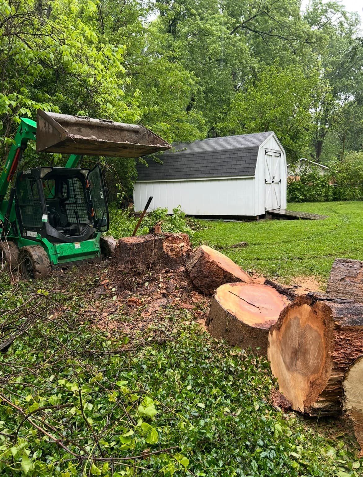 Junk removal and yard cleanup